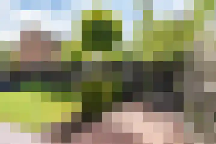 H.J. van der Veenstrjitte 9 Surhuizum thumbnail 36