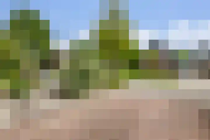 H.J. van der Veenstrjitte 9 Surhuizum thumbnail 39