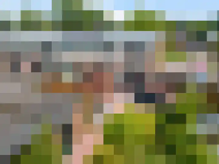 H.J. van der Veenstrjitte 9 Surhuizum thumbnail 43