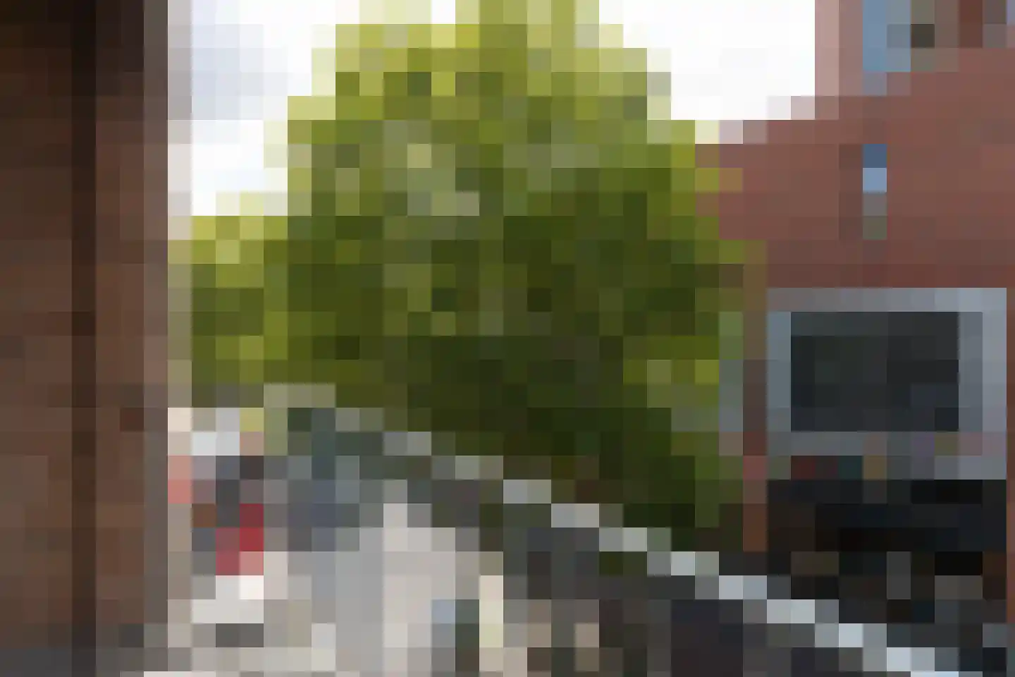 H.J. van Heekplein 40 Enschede thumbnail 17