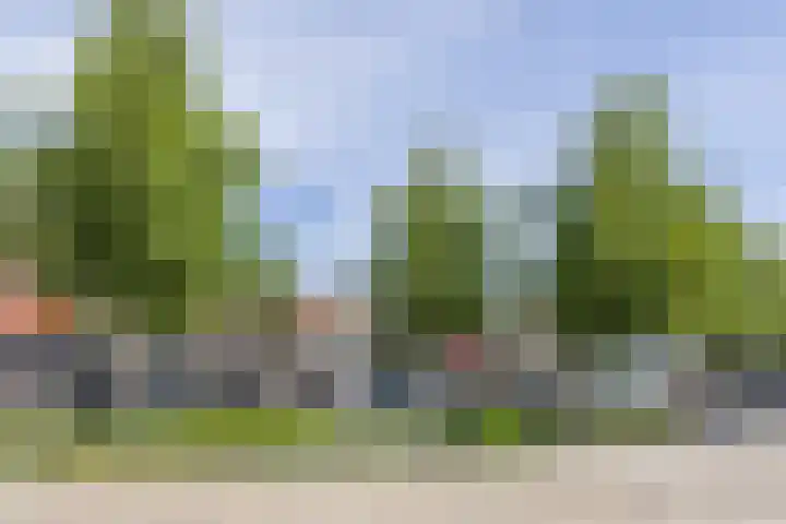 H.J. van Heekplein 53 C Enschede thumbnail 38