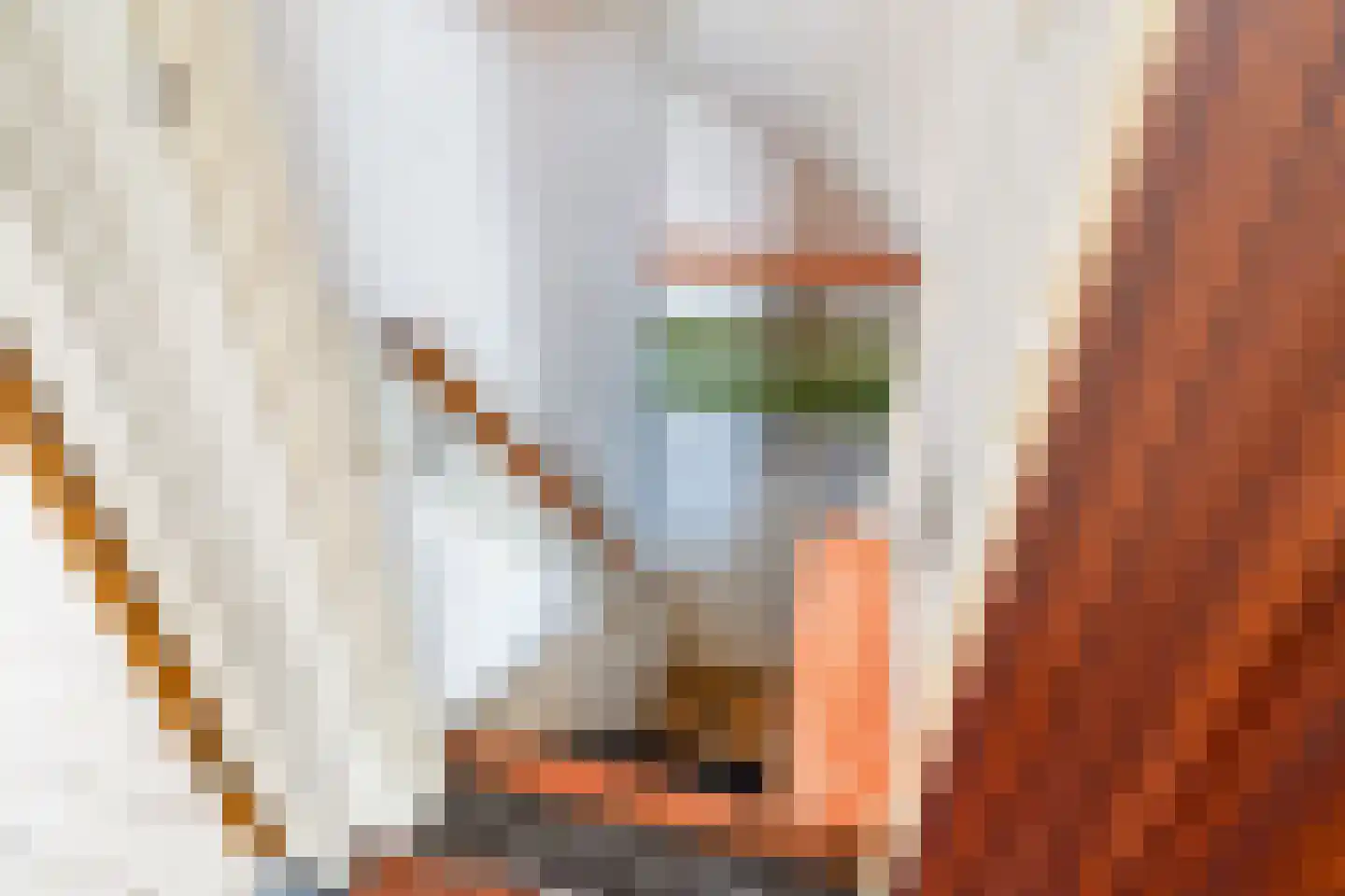 H.K. Pootplein 4 Schipluiden thumbnail 17