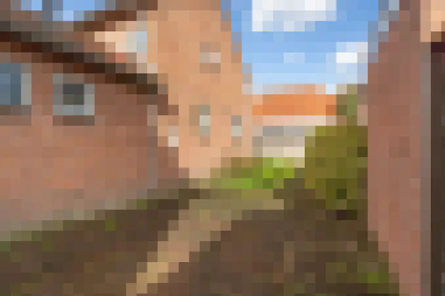 H.K. Pootplein 4 Schipluiden thumbnail 32