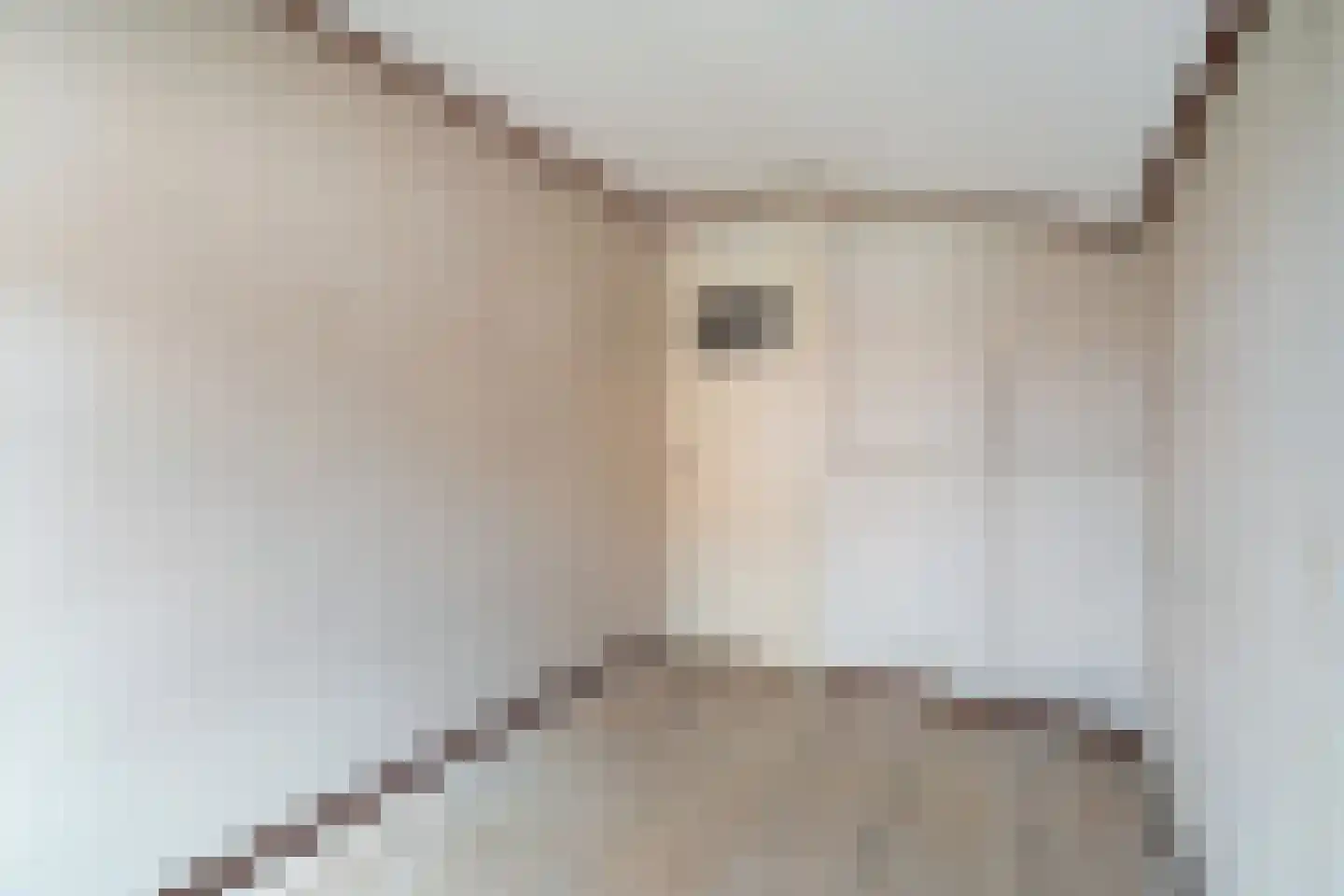 H.K. Pootplein 4 Schipluiden thumbnail 50