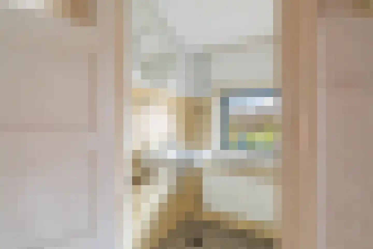 H.K. Pootplein 4 Schipluiden thumbnail 52
