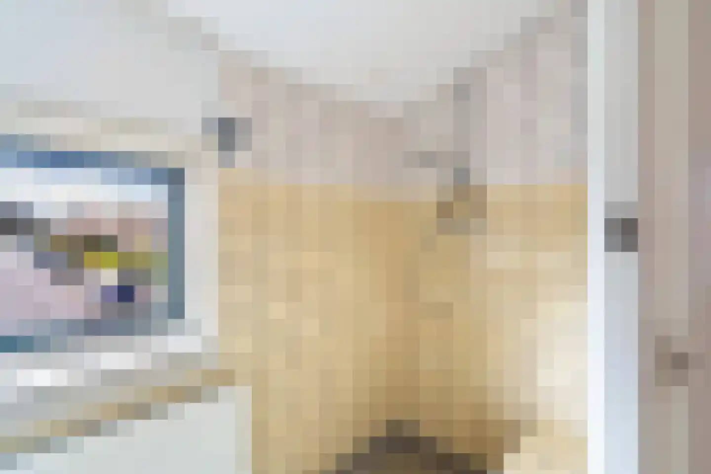 H.K. Pootplein 4 Schipluiden thumbnail 54