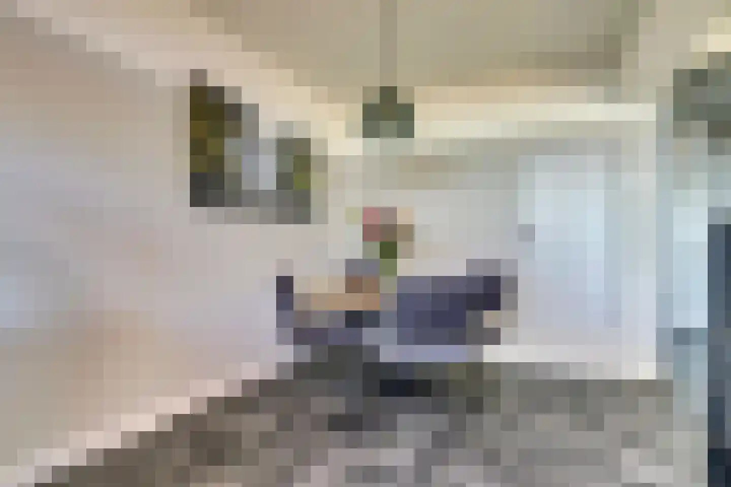 H. Kamerlingh Onnesstraat 129 Zwijndrecht thumbnail 18