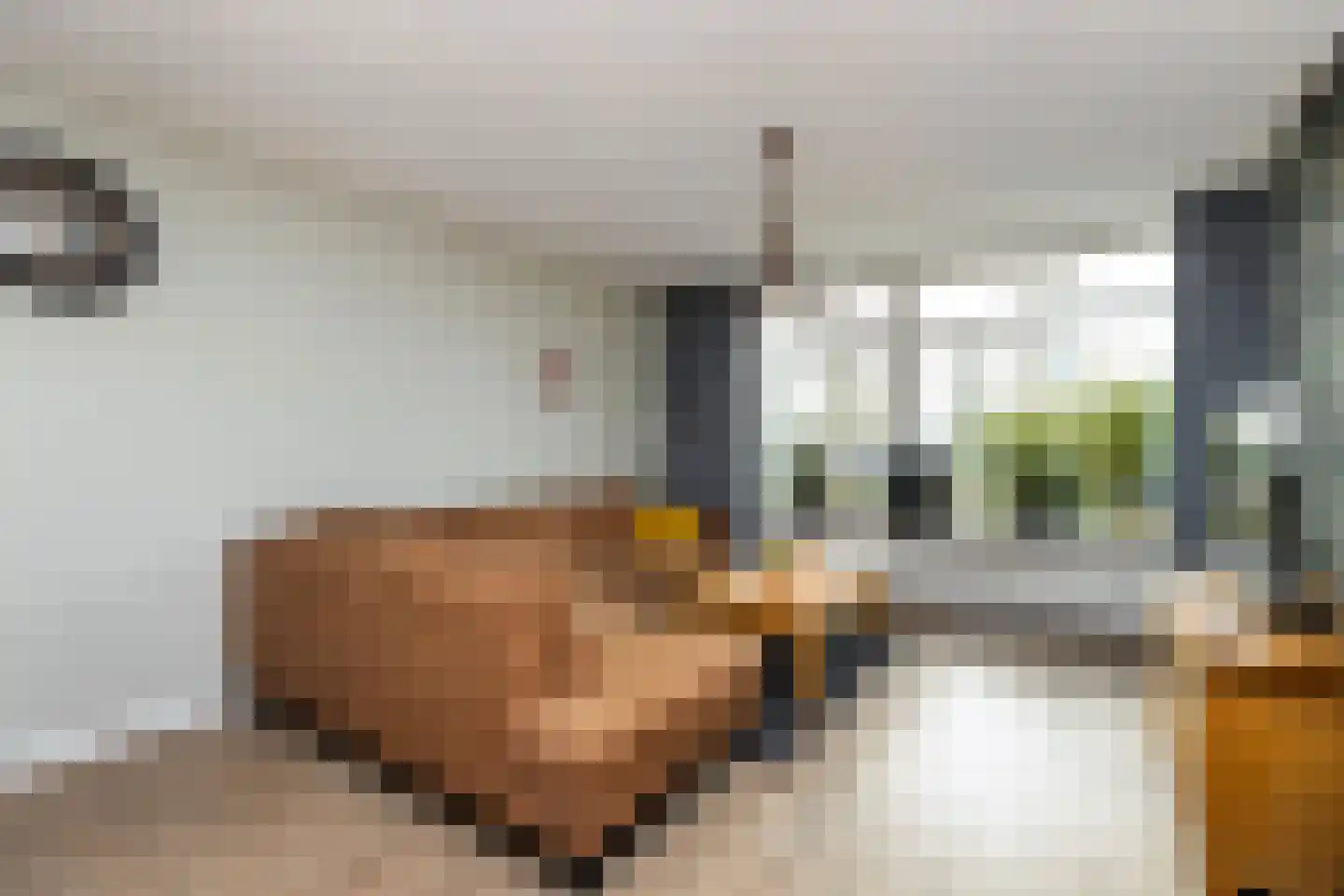 H. Kamerlingh Onnesstraat 47 Zwijndrecht thumbnail 7