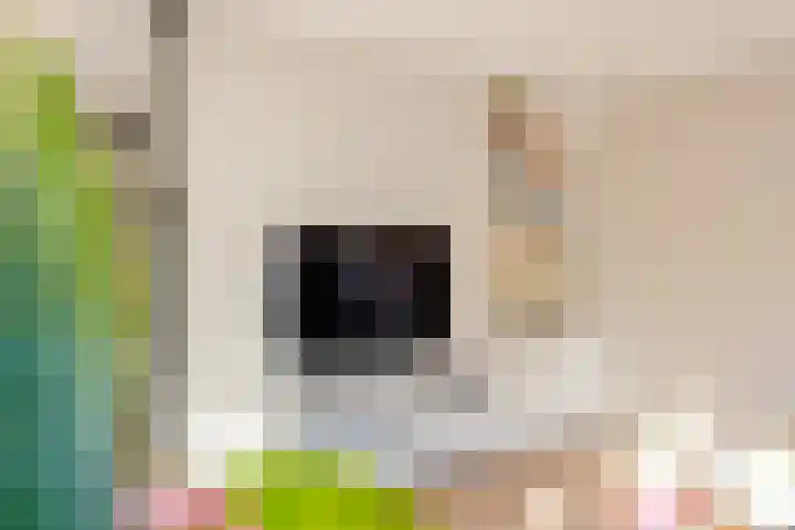 H. Kamerlingh Onnesweg 106 Bussum thumbnail 29