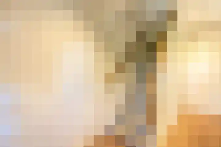 H. Kamerlingh Onnesweg 106 Bussum thumbnail 32