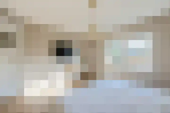 H. Kamerlingh Onnesweg 106 Bussum thumbnail 34