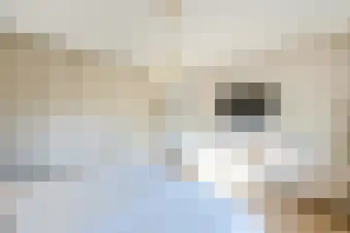 H. Kamerlingh Onnesweg 106 Bussum thumbnail 36