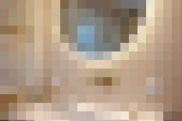 H. Kamerlingh Onnesweg 106 Bussum thumbnail 41