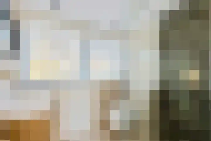H. Kamerlingh Onnesweg 106 Bussum thumbnail 61