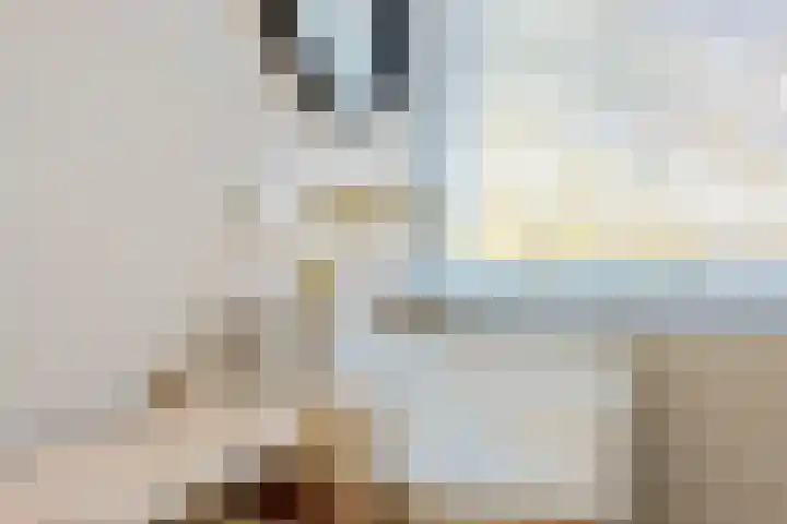H. Kamerlingh Onnesweg 106 Bussum thumbnail 62