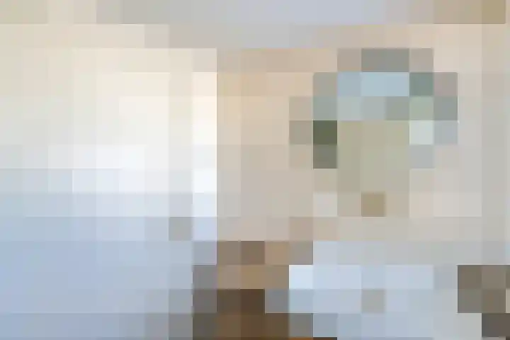 H. Kamerlingh Onnesweg 106 Bussum thumbnail 63