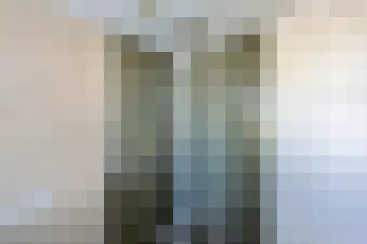 H. Kamerlingh Onnesweg 106 Bussum thumbnail 64