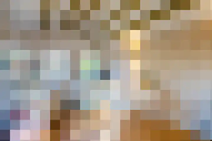 H. Kamerlingh Onnesweg 106 Bussum thumbnail 74