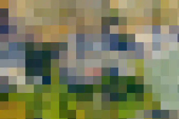 H. Kamerlingh Onnesweg 106 Bussum thumbnail 75