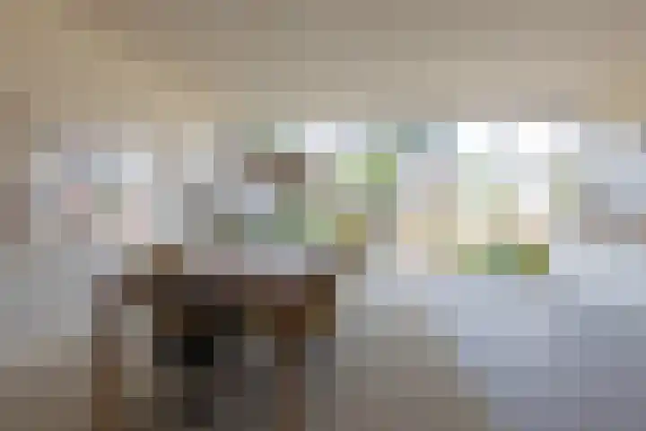 H. Kamerlingh Onnesweg 29 Bussum thumbnail 14