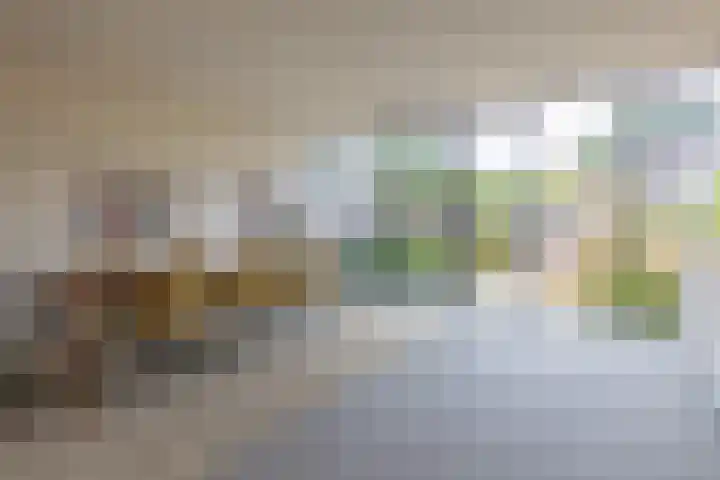 H. Kamerlingh Onnesweg 29 Bussum thumbnail 15