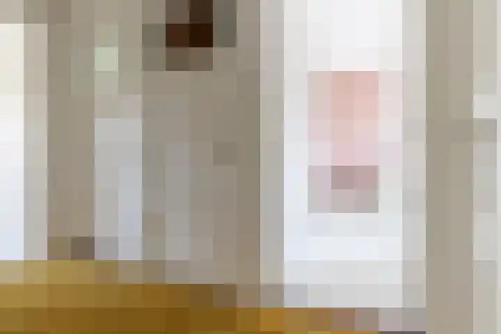 H. Kamerlingh Onnesweg 29 Bussum thumbnail 25