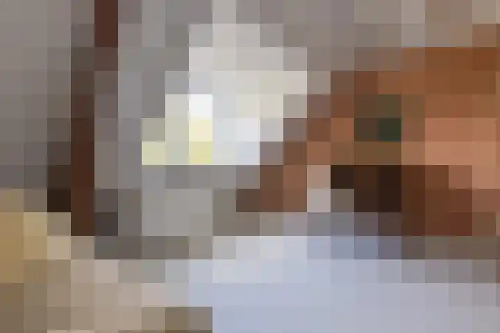 H. Kamerlingh Onnesweg 29 Bussum thumbnail 34
