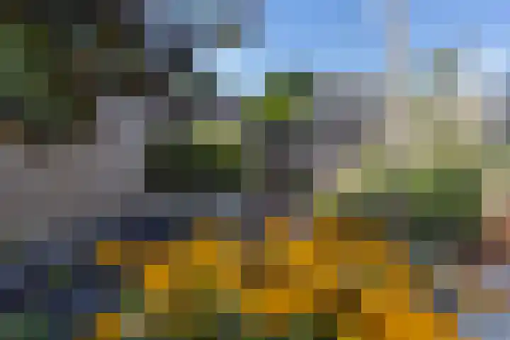H. Kamerlingh Onnesweg 29 Bussum thumbnail 39
