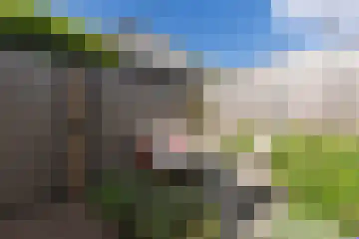 H. Kamerlingh Onnesweg 29 Bussum thumbnail 40