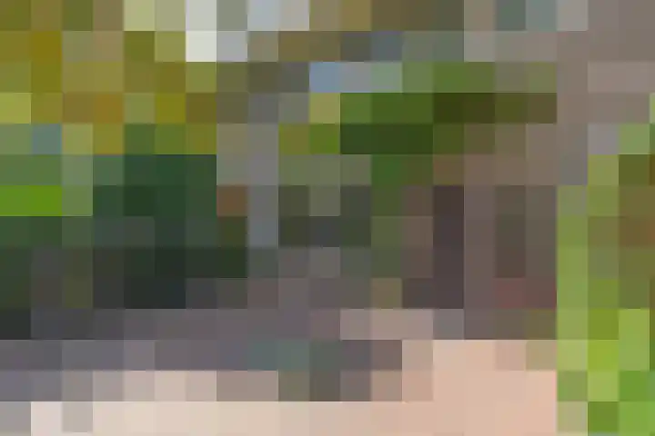 H. Kamerlingh Onnesweg 29 Bussum thumbnail 43