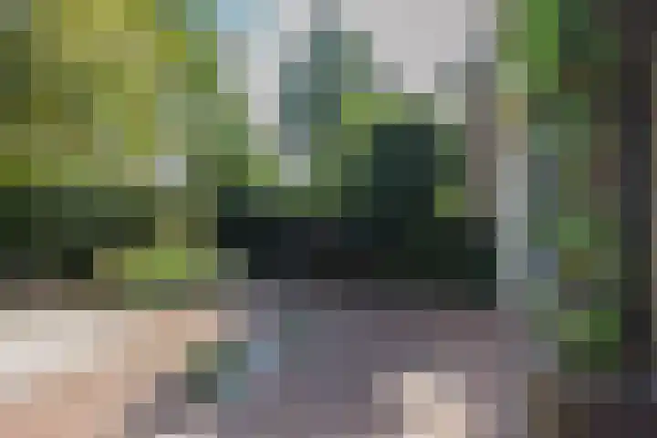 H. Kamerlingh Onnesweg 29 Bussum thumbnail 44