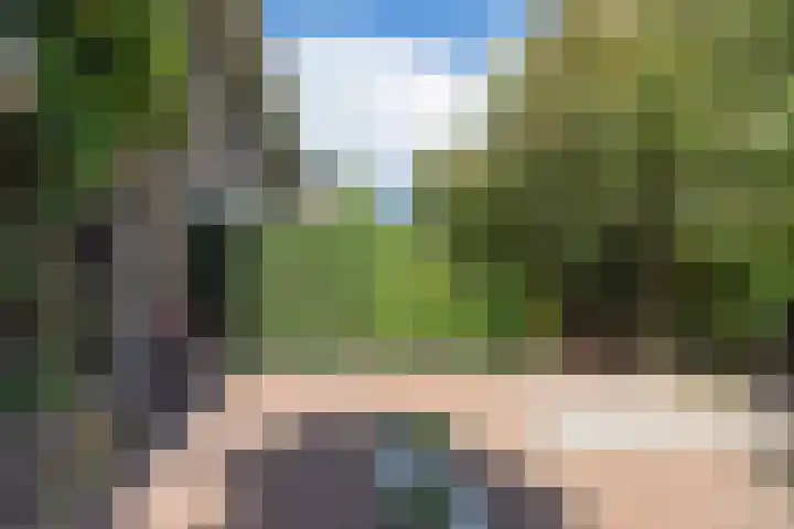 H. Kamerlingh Onnesweg 29 Bussum thumbnail 45