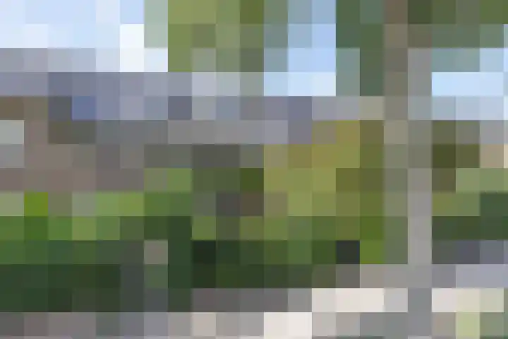 H. Kamerlingh Onnesweg 29 Bussum thumbnail 46