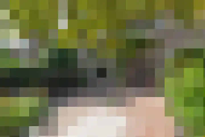 H. Kamerlingh Onnesweg 29 Bussum thumbnail 5