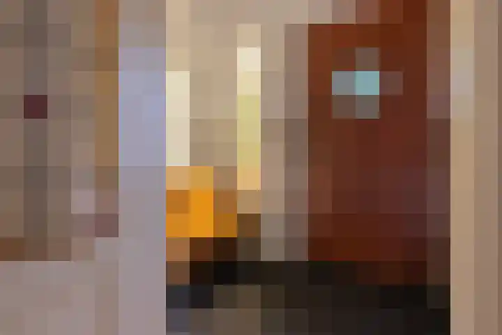 H. Kamerlingh Onnesweg 29 Bussum thumbnail 6