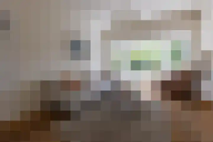 H. Kamerlingh Onnesweg 29 Bussum thumbnail 9