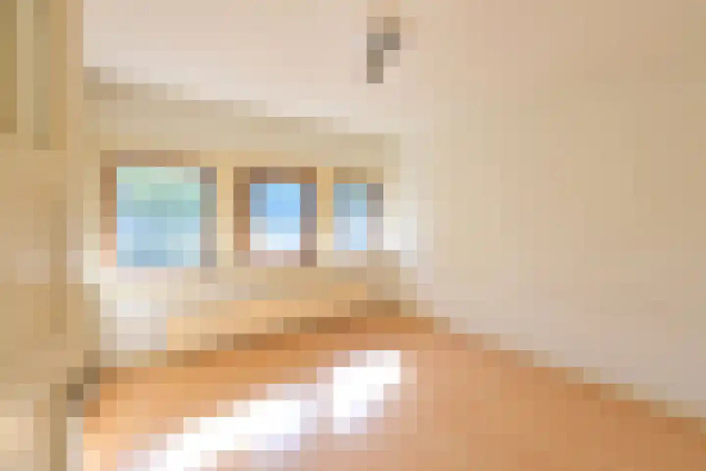 H. Kamerlingh Onnesweg 33 Bussum thumbnail 14