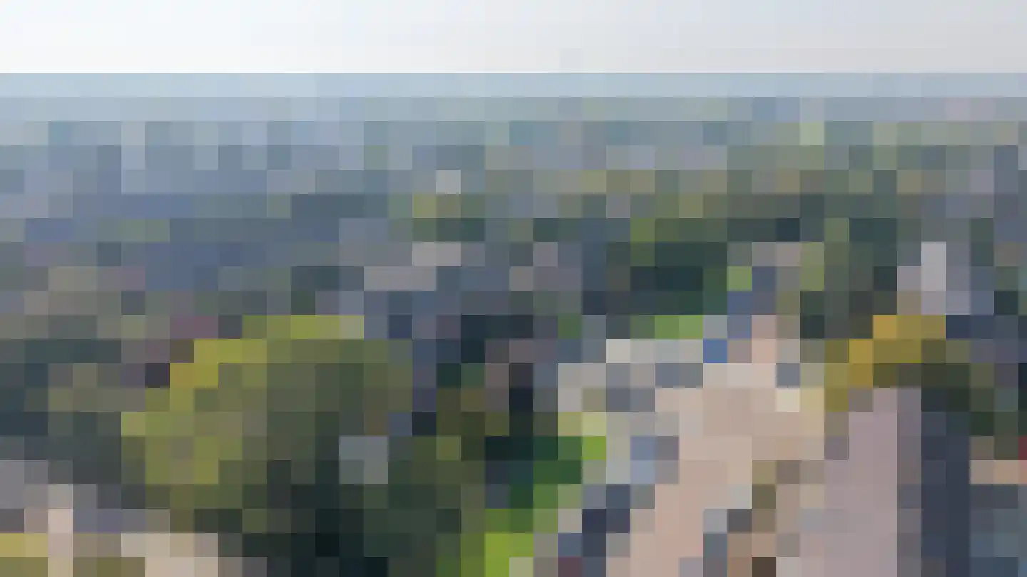 H. Kamerlingh Onnesweg 33 Bussum thumbnail 21