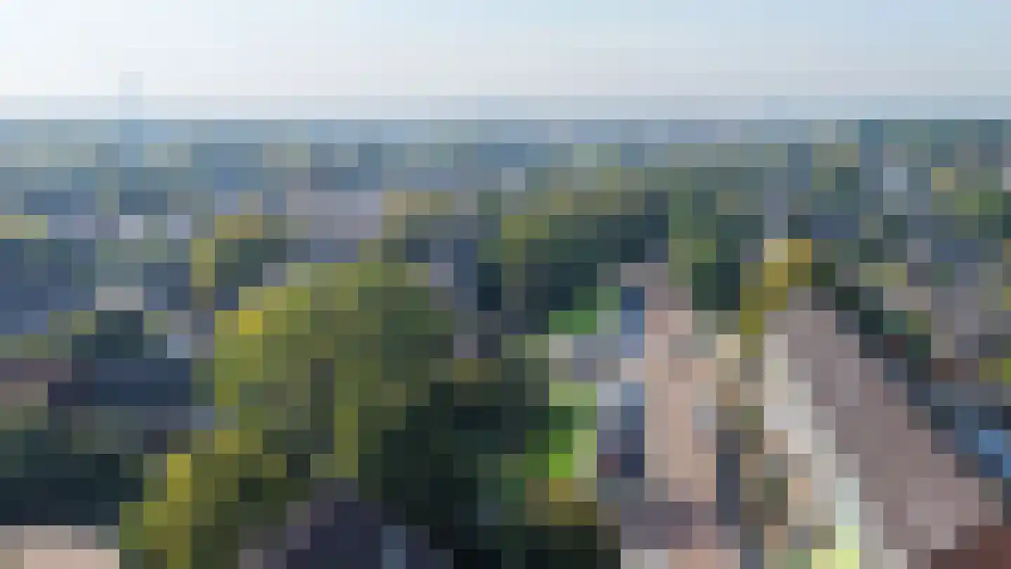H. Kamerlingh Onnesweg 33 Bussum thumbnail 22