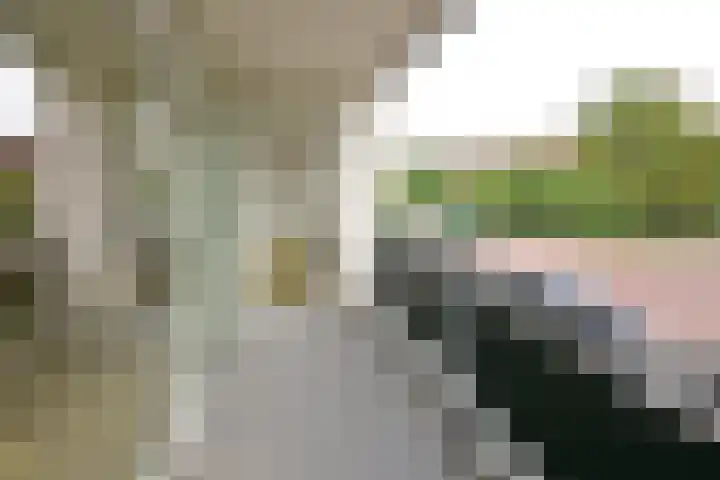 H. Kamerlingh Onnesweg 45 A Bussum thumbnail 6