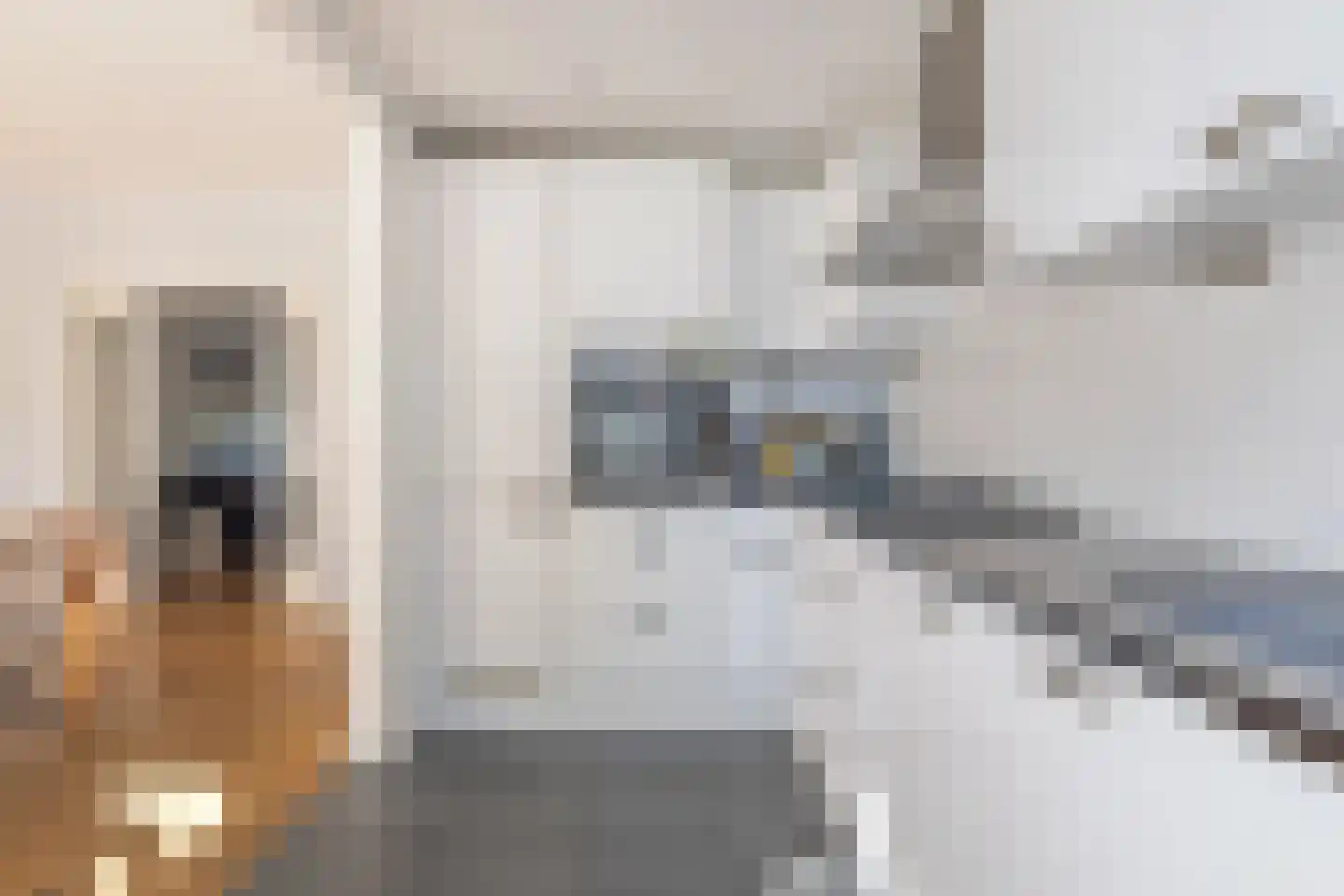 H. Kamerlingh Onnesweg 50 Bussum thumbnail 17