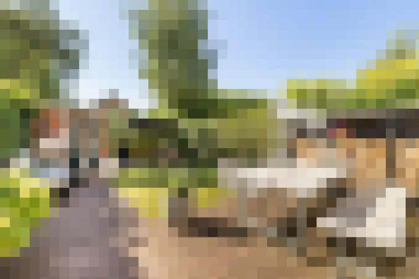 H. Kamerlingh Onnesweg 50 Bussum thumbnail 19