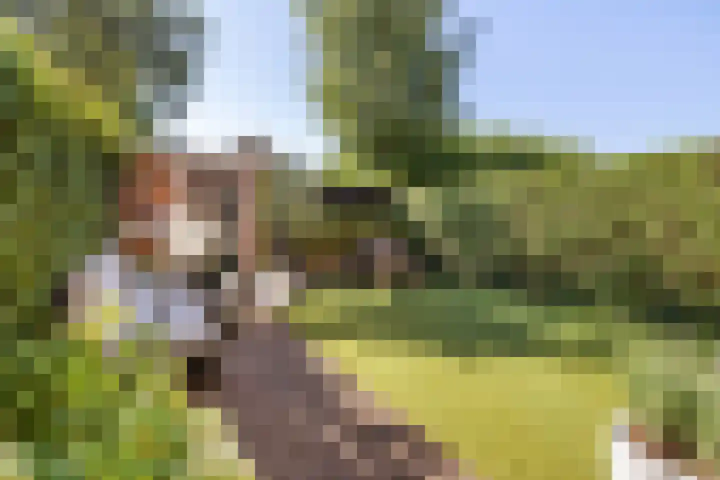 H. Kamerlingh Onnesweg 50 Bussum thumbnail 22