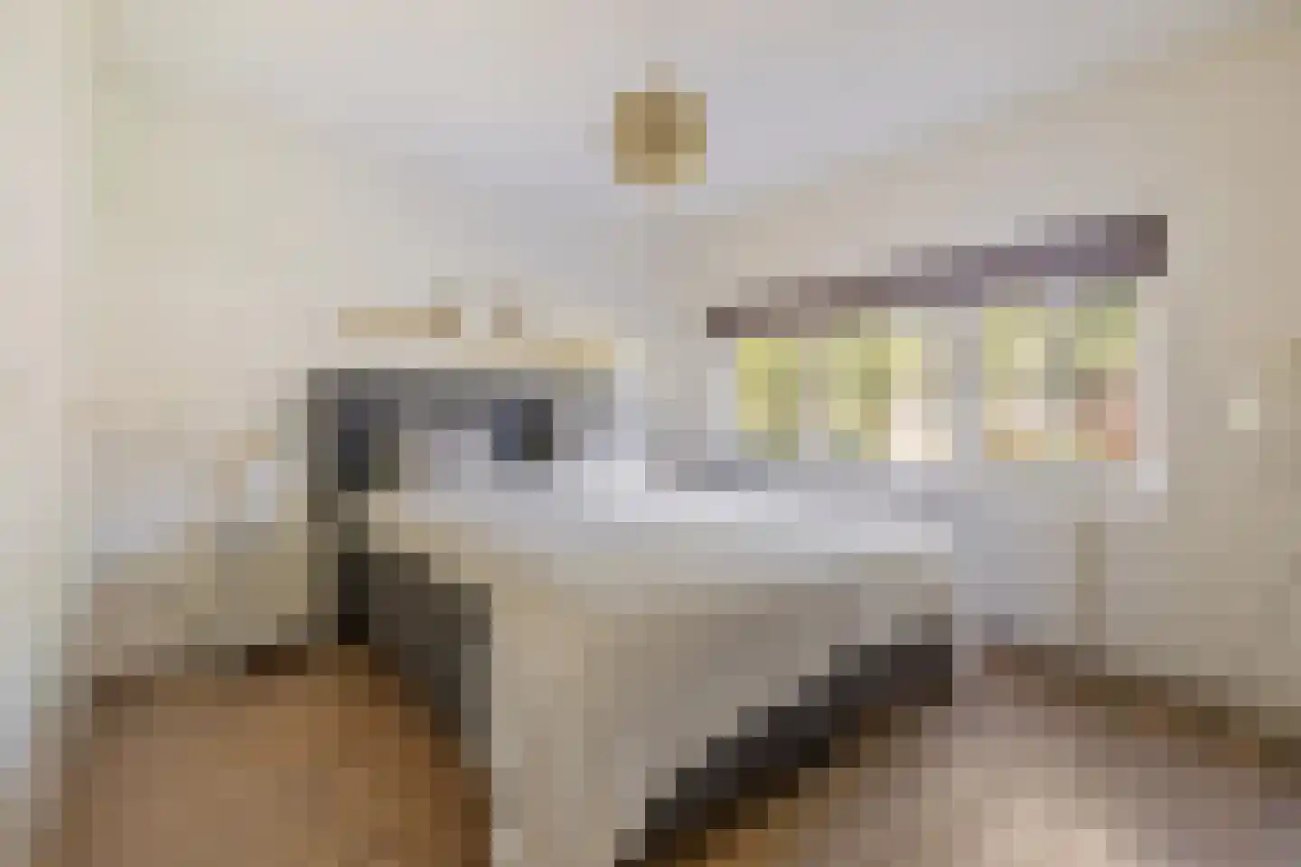 H. Kamerlingh Onnesweg 50 Bussum thumbnail 26