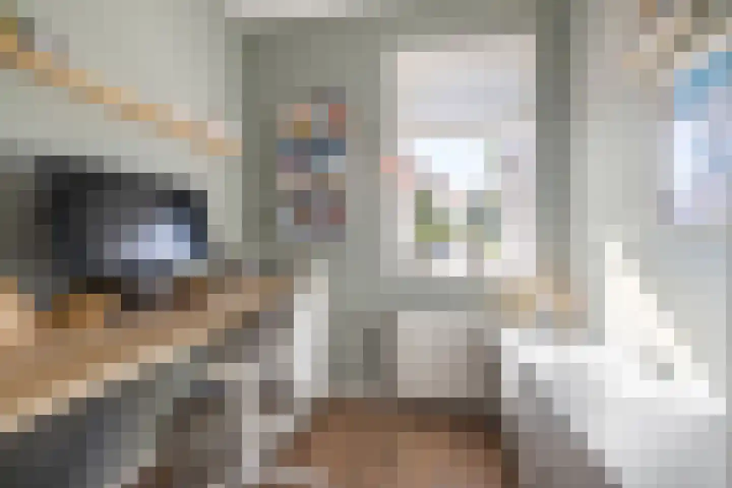 H. Kamerlingh Onnesweg 50 Bussum thumbnail 31