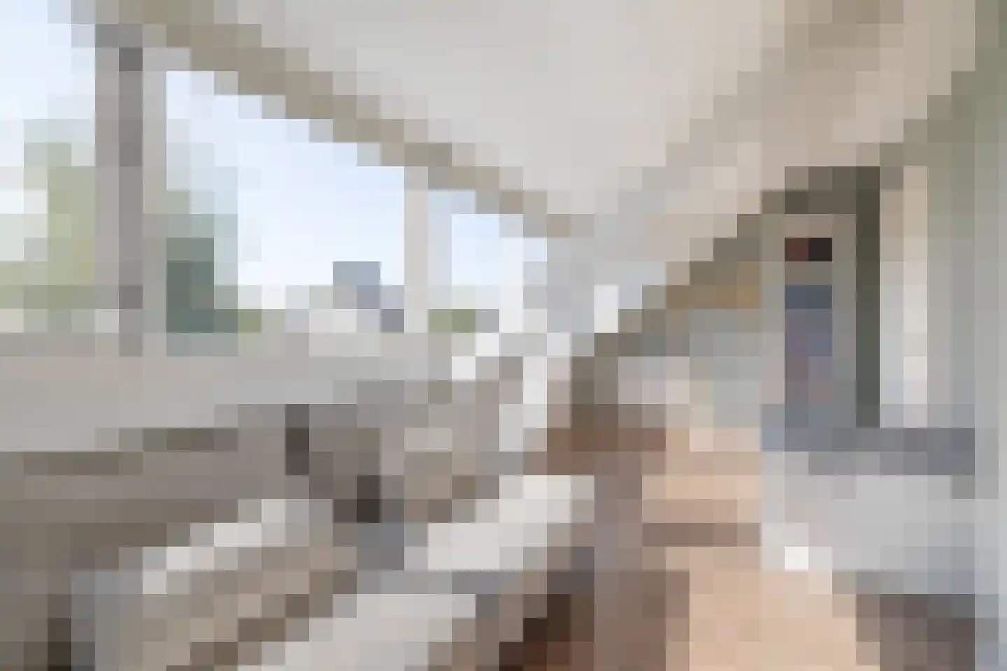 H. Kamerlingh Onnesweg 50 Bussum thumbnail 35