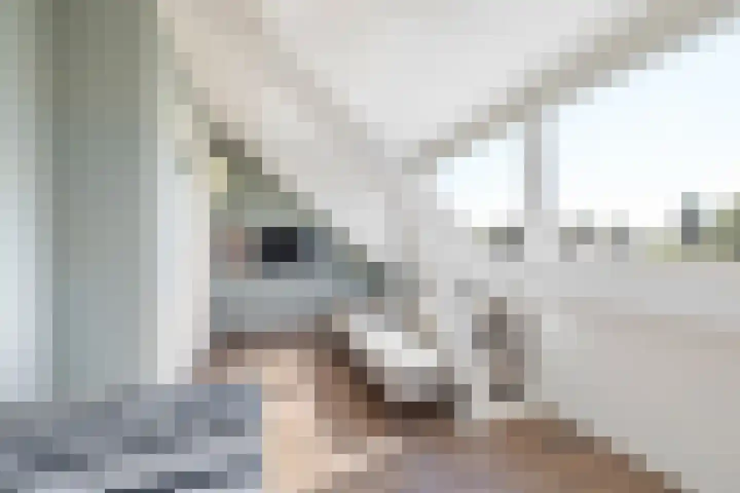 H. Kamerlingh Onnesweg 50 Bussum thumbnail 36