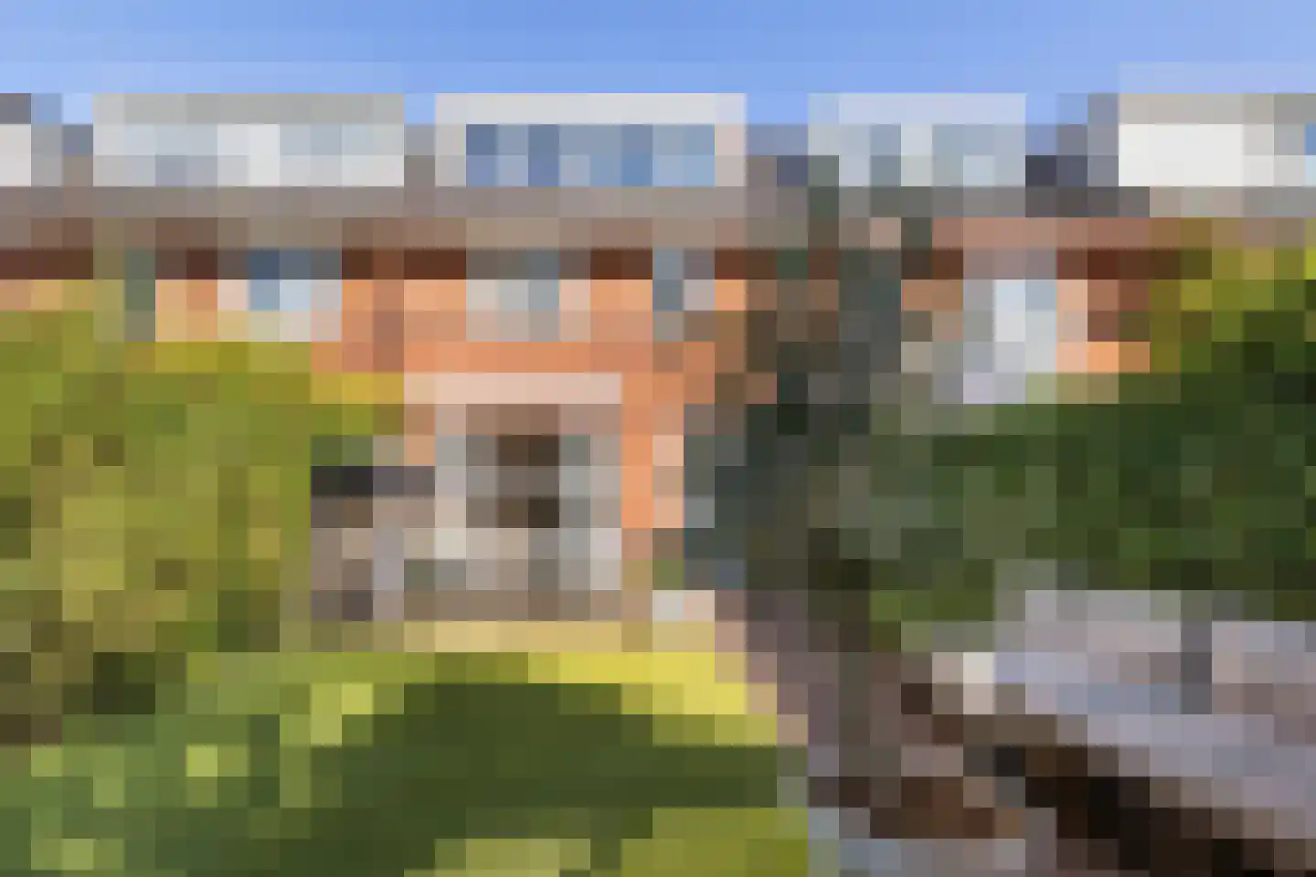H. Kamerlingh Onnesweg 50 Bussum thumbnail 37