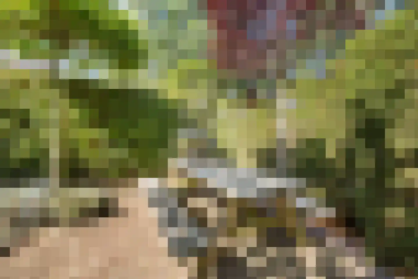 H. Kamerlingh Onnesweg 50 Bussum thumbnail 5