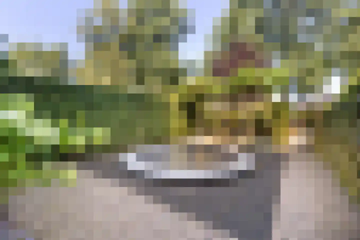 H. Kamerlingh Onnesweg 50 Bussum thumbnail 6